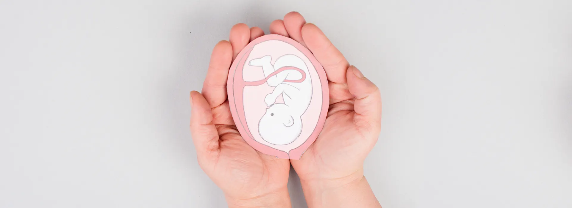Conoscere la fisiologia del ciclo ovarico e mestruale è di grande aiuto per orientarsi su come preparare il proprio corpo ad accogliere una gravidanza.